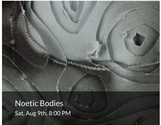 Noetic Bodies
